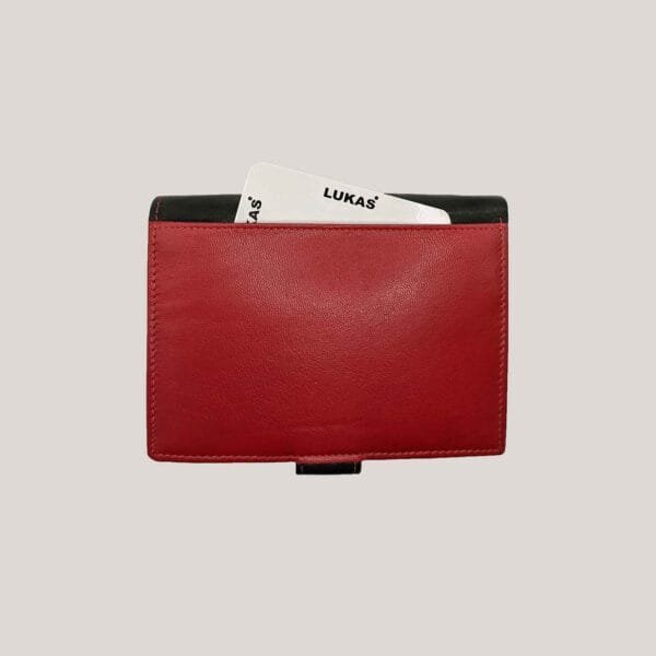 Vyriška odinė piniginė Lukas - juoda (6)